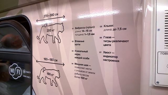 Заметки #90 - Полосатый экспресс в Московском метро (серая ветка) смотреть онлайн