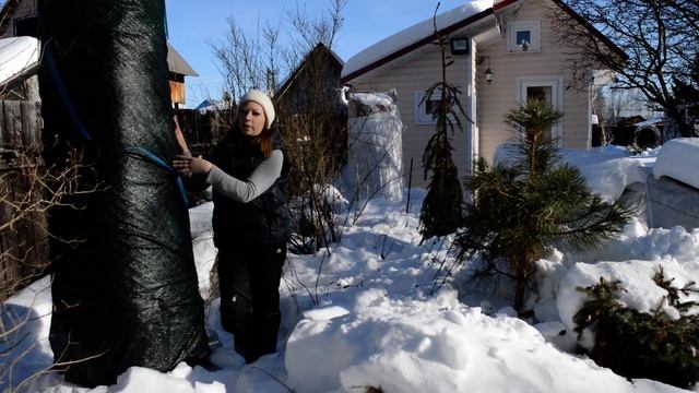 Как закрыть деревья от солнца смотреть онлайн