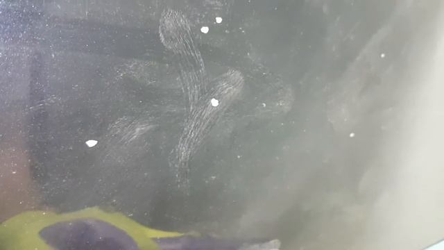 Diamante хамелеон /ЧАСТЬ 3 : ПРЕДОТВРАЩЕНИЕ УСАДКИ ЛАКА/БОРЬБА С ЗАШУБЛЕНИЕМ/ПОДРЫВАМИ НА ABS смотреть онлайн