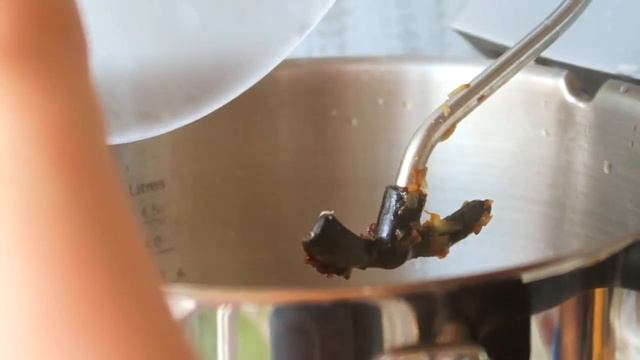 Обучение Игре на Инструменте