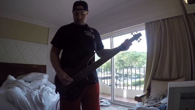 Blink 182 - Down (Bass Cover) w/ Vocals смотреть онлайн