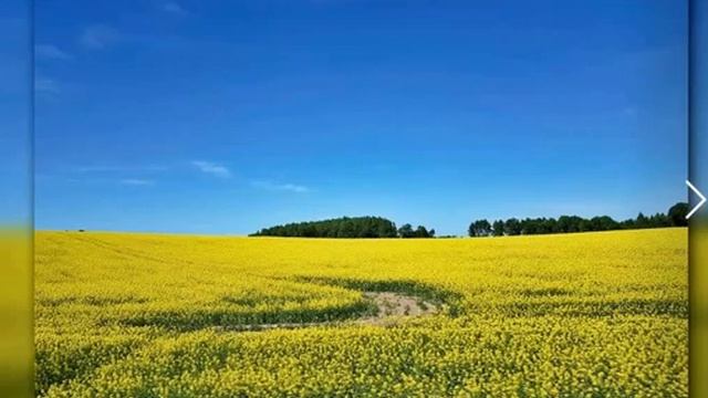 Летняя сказка (стихи Павла Гулакова) смотреть онлайн