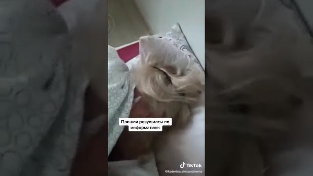 Животное в естественной среде обитания. смотреть онлайн