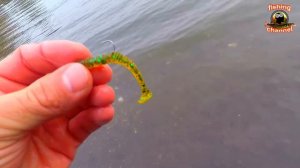 ловля окуня на отводной поводок на lucky john tioga 2.4 inch pa19 osaka pumpkin 24.10.2017 г.