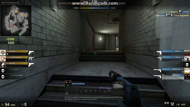 звание 4 звезды