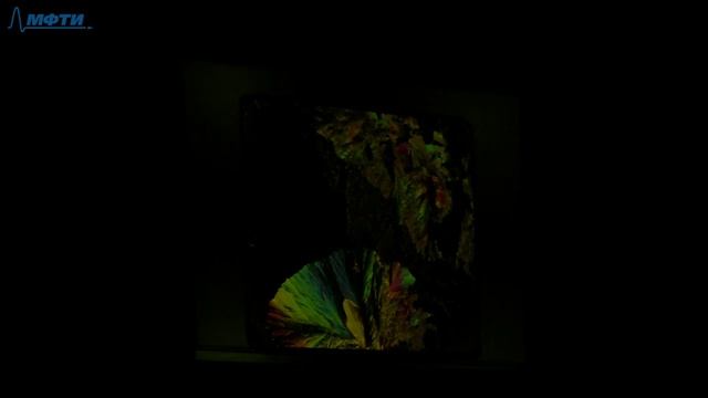 Лекция №6 (Овчинкин В.А.) смотреть онлайн