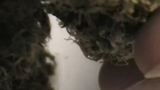 Jack The Ripper Review смотреть онлайн