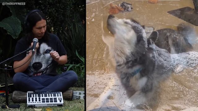 The Kiffness X Haiku The Husky - Ancient Husky Melody (FULL VERSION)