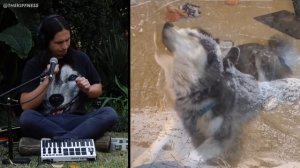 The Kiffness x Haiku the Husky - Ancient Husky Melody (FULL VERSION)