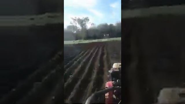 Нарезка борозд под чеснок смотреть онлайн