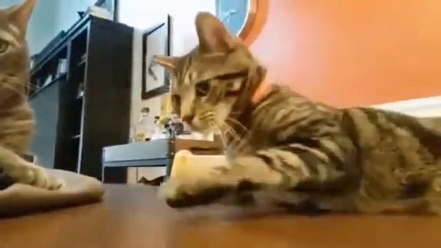 Когда он понял это, было уже слишком поздно смотреть онлайн