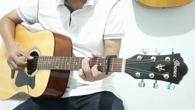 Ibanez V50NJP Gitar Akustik