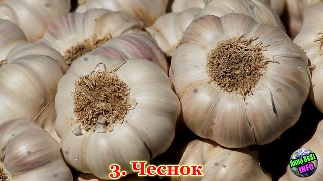 Обязательно Держите Нож, Кирпич и Соль под Кроватью!!! смотреть онлайн