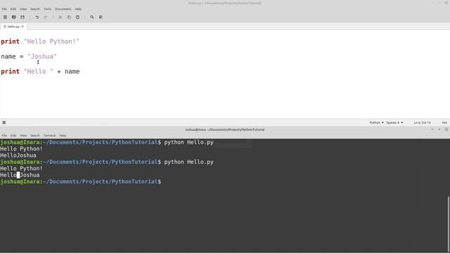Python Programming Tutorial 01 - Print & Variables | Elsoft Consulting LLC смотреть онлайн