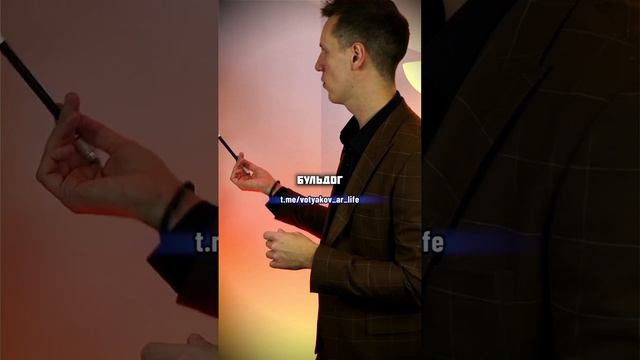 ЧТО объединяет эти вещи? Формируем грамотность по запуску курсов #shorts смотреть онлайн