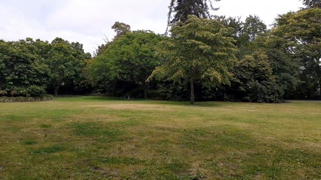 Прогуляемся по парку. Днём пасмурно было, а вечером ясное небо. смотреть онлайн