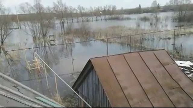 Паводок 2018 Нижний Ломов