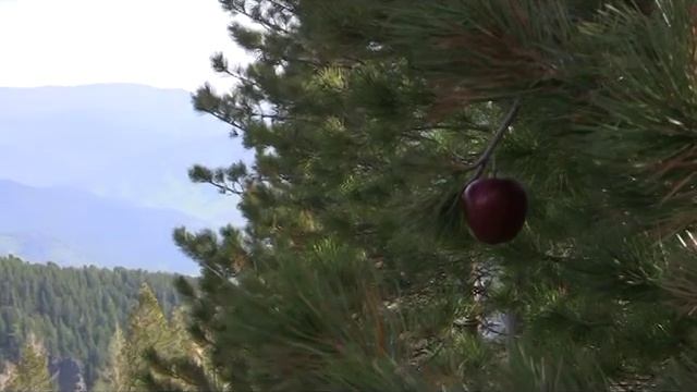 "Потайное озеро" - Автор Е. Лебедев смотреть онлайн