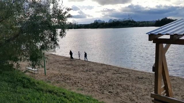 Пляж в Дубне превратился в место для выгула собак смотреть онлайн