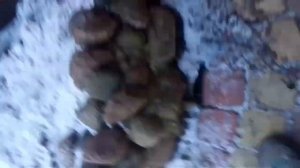 Кормушка для собаки