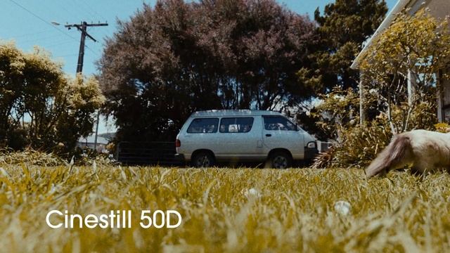 Mastering the Film Look in Premiere Pro with Dehancer Film Emulation Plugin смотреть онлайн