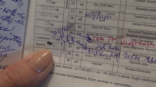 Огурцы тянутся! Что делать? смотреть онлайн