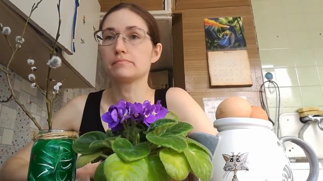 "Василёк" смотреть онлайн