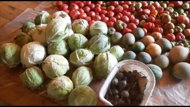 Собираю урожай октябрь 2021 смотреть онлайн