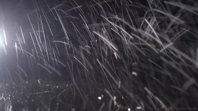 ► Heavy Night Rain Sounds For Sleeping ~ Close Raindrops, 10 Hours. Hard Rain (no Thunder) (lluvia)