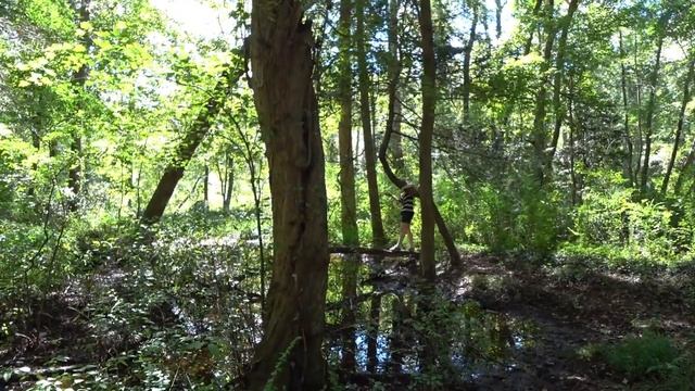 Стройка подходит к концу, стелят ковролин / Соня выбирает комнату / Выходной на озере в парке / Вло смотреть онлайн