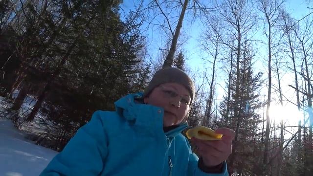 Воскресный одиночный лыжный поход в лес. Пермь. 23 февраля 2020. смотреть онлайн