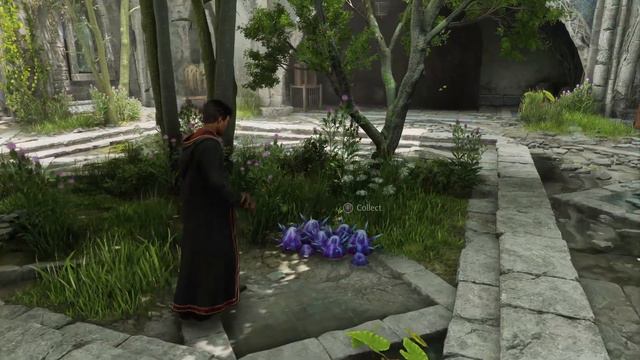 Hogwarts Legacy Gameplay: Into Combat, Spells, Abilities, And More! Small Bit Of Footage (PS5 Tease смотреть онлайн