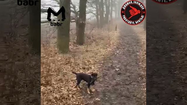 Cab198ad8602728fe331d76e04de5196_out_596579030