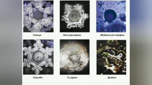 Познавательная программа "О сквернословии"