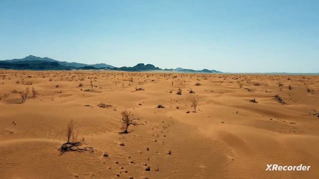 для тех, кто понимает жизнь без утех... смотреть онлайн