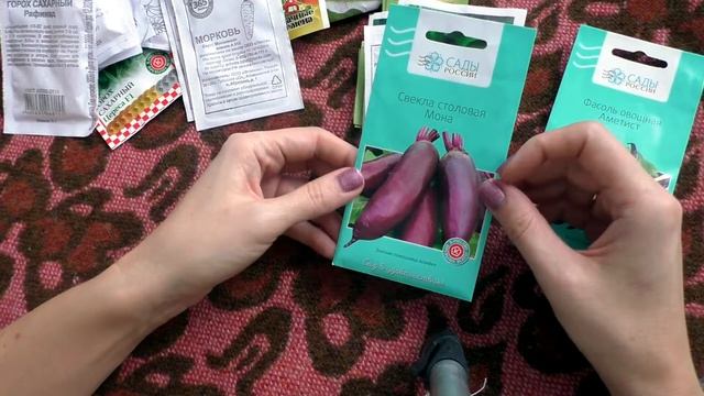 Семена гороха корнеплодов и фасоли на сезон 2022
