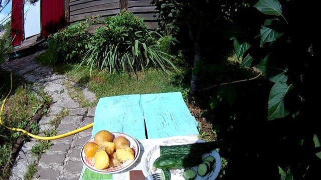 Огурец Китайский змей, дегустация на вкус. Картошечка и огурчик - вкусняшка смотреть онлайн