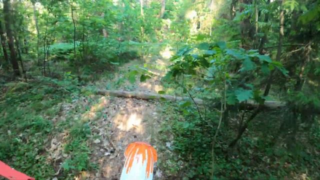 Первый выезд на Avantis 300pro EFI смотреть онлайн