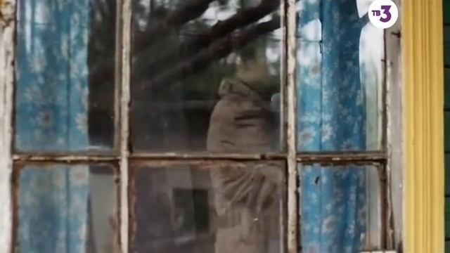 иные 16 сер. смотреть онлайн