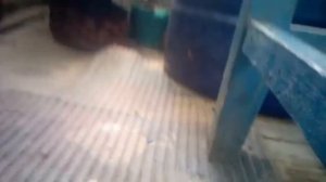 Ракетное топливо из селитры калиевой и сахара!!!