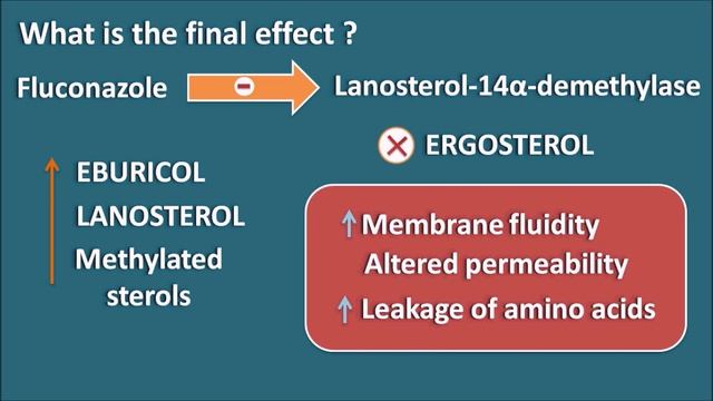 Fluconazole || An antifungal with broad spectrum of activity смотреть онлайн