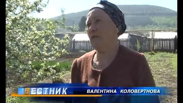 В Златоусте организовали акцию "Молодёжь—ветеранам" смотреть онлайн