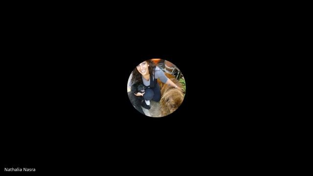 Clase 1 java Inicial 114 31 de julio 20 hs смотреть онлайн