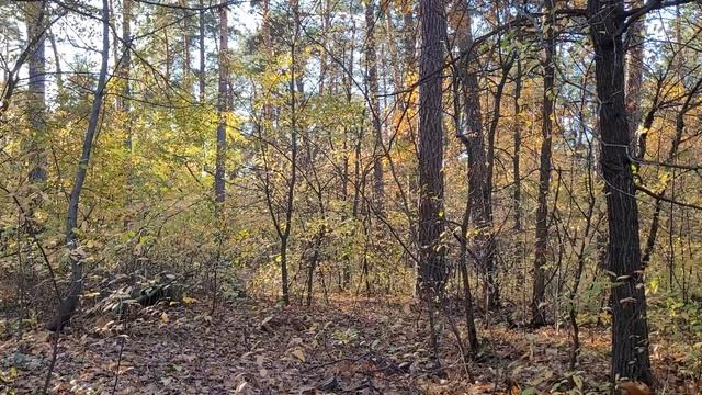 ЛЮБИТЬ - ЭТО ЗНАЧИТ... смотреть онлайн