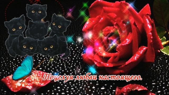Красивое пожелание удачного и доброго дня❤️хорошего настроения❤️ДОБРЫЙ ДЕНЬ смотреть онлайн