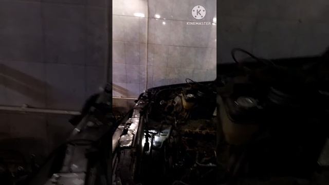 Тренировки для успешных