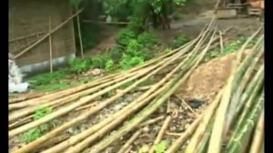 Трехэтажный дом из бамбука  Вы такого не видели!