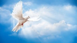 Виталий и Наталья Сколовы - Ладони Бога.