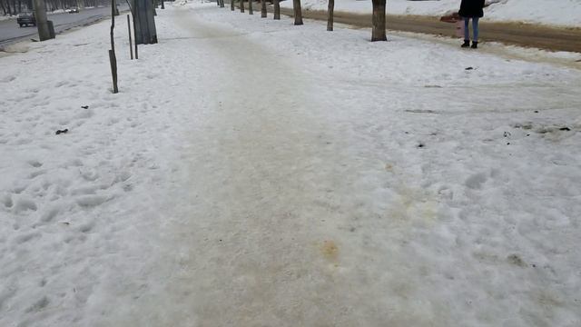 2236 А убирать кто будет Выставка какашек на Комсомольской улице экскременты собак тротуар газон ка