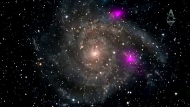 Спор с Дарвином смотреть онлайн